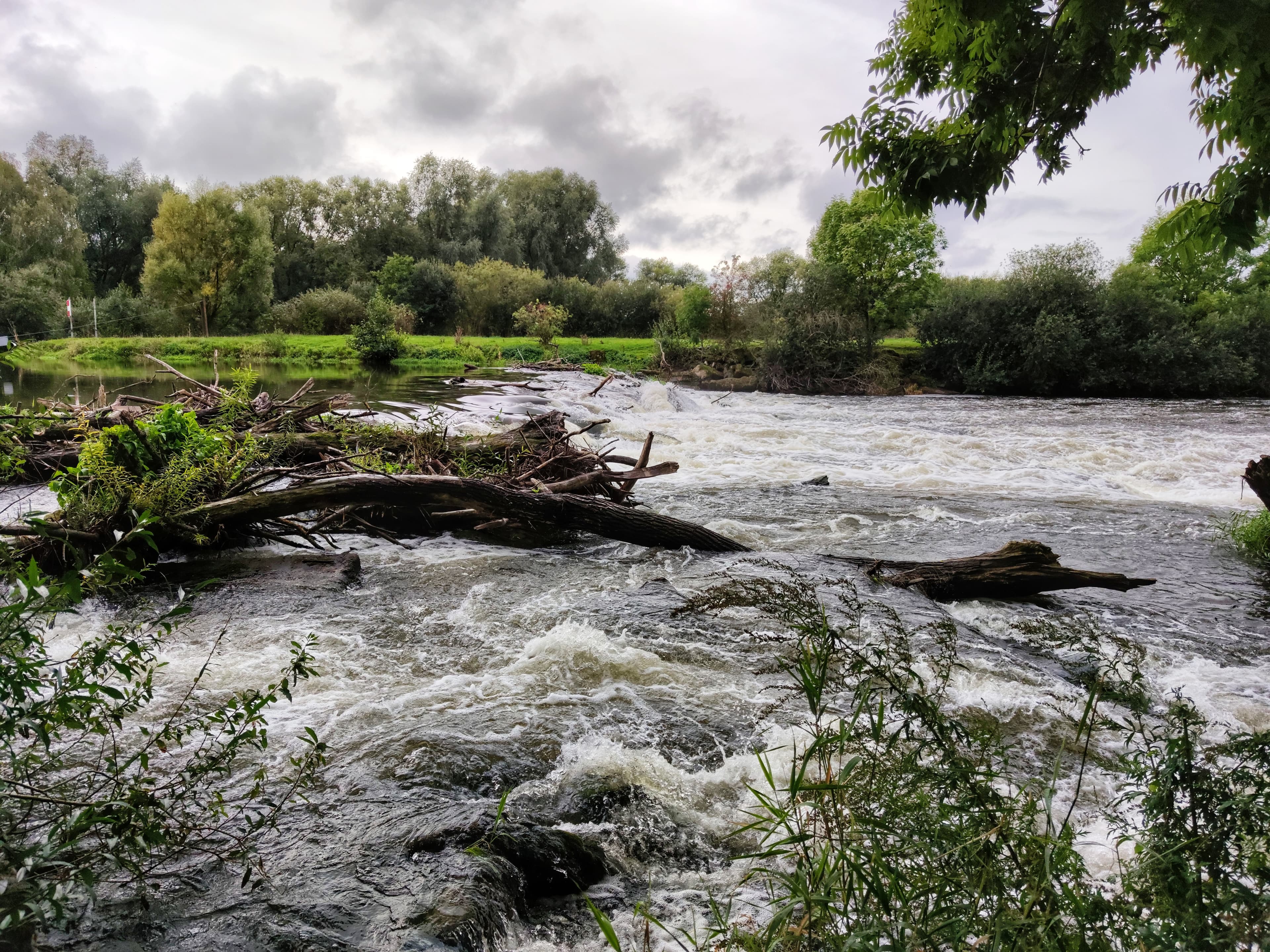 Flooding Capabilities